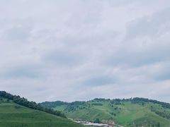 -关山草原