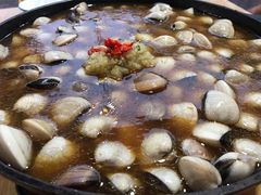 -顺德哥卜卜贝(旗舰店)