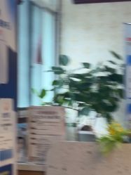 -南京医科大学友谊整形外科医院