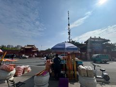 -药王庙(安国市)