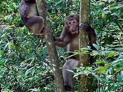 -西岭雪山大飞水景区