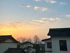 -大唐贡茶院