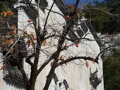 -上坦村
