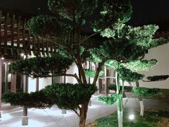 -宁波柏悦酒店·钱湖渔港