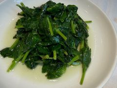 酒香豆苗-老吉士酒家(天平路店)