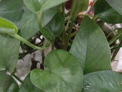 -澜韵·尊享柔式SPA(磐基店)