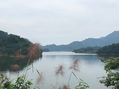 -新安江山水画廊风景区