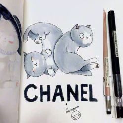 -Chanel