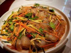 东北拉皮-靠山屯东北农家菜(八龙桥雅苑店)