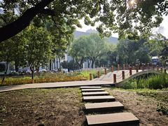 -黑龙江中医药大学