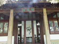 -香雪海