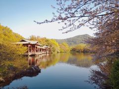 -西湖外事游船(花港观鱼码头)