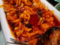 松鼠鱼-河东颐祥阁(世贸店)