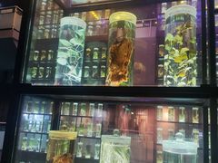 -广东中医药博物馆