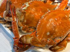 -开海·红岛海鲜虾水饺(石老人店)