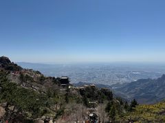 -万达广场(泰安泰山店)