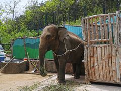 -大连森林动物园