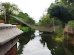 -宾湖农庄·农场特色(太湖龙之梦店)