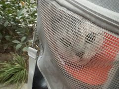 -守诺宠物医院·眼科· 神经外科·爬宠专科(虹口店)