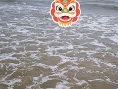 -日照海滨国家森林公园