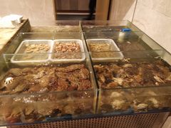 -嘉定凯悦·咖啡厅