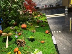 -外滩·云南人家(昆明旗舰店)