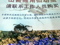 android_upload_pic-上海大自然野生昆虫馆