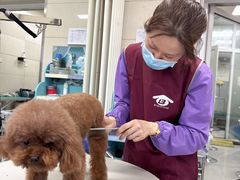 -北京观赏动物医院·24小时大型综合·猫专科·异宠专科