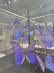 -酷嗒动物文化乐园(cutezoo西溪乐天城店)