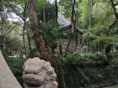 -汇龙潭