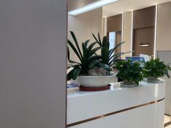 -杭州米兰柏羽医疗美容医院