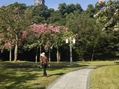 -顺峰山公园