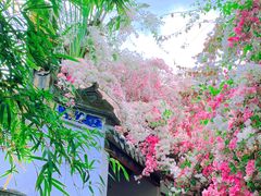 -深圳国际园林花卉博览园