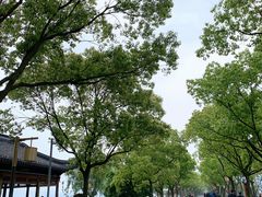 -东钱湖小普陀景区