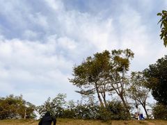 -白石龙音乐公园