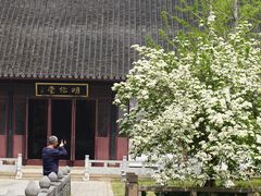 -苏州文庙(姑苏区)