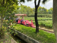 -广东花都香草世界旅游度假区