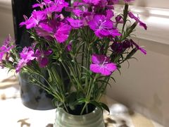-燕庭·纯燕窝·甜品下午茶(日月光店)