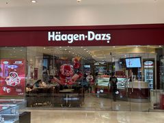 -哈根达斯(石家庄北国店)