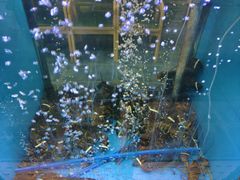 -鲜味食族水产·海鲜餐厅