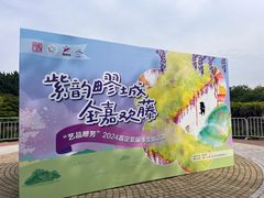 -嘉定紫藤园