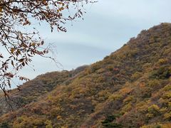 -香山公园