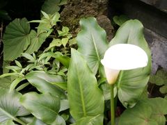 -亦缘居私家别院