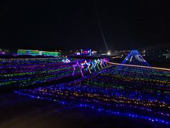 -大塘金香草谷