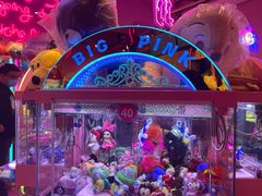 -BIG PINK大粉娃娃机主题馆(圆融星座店)