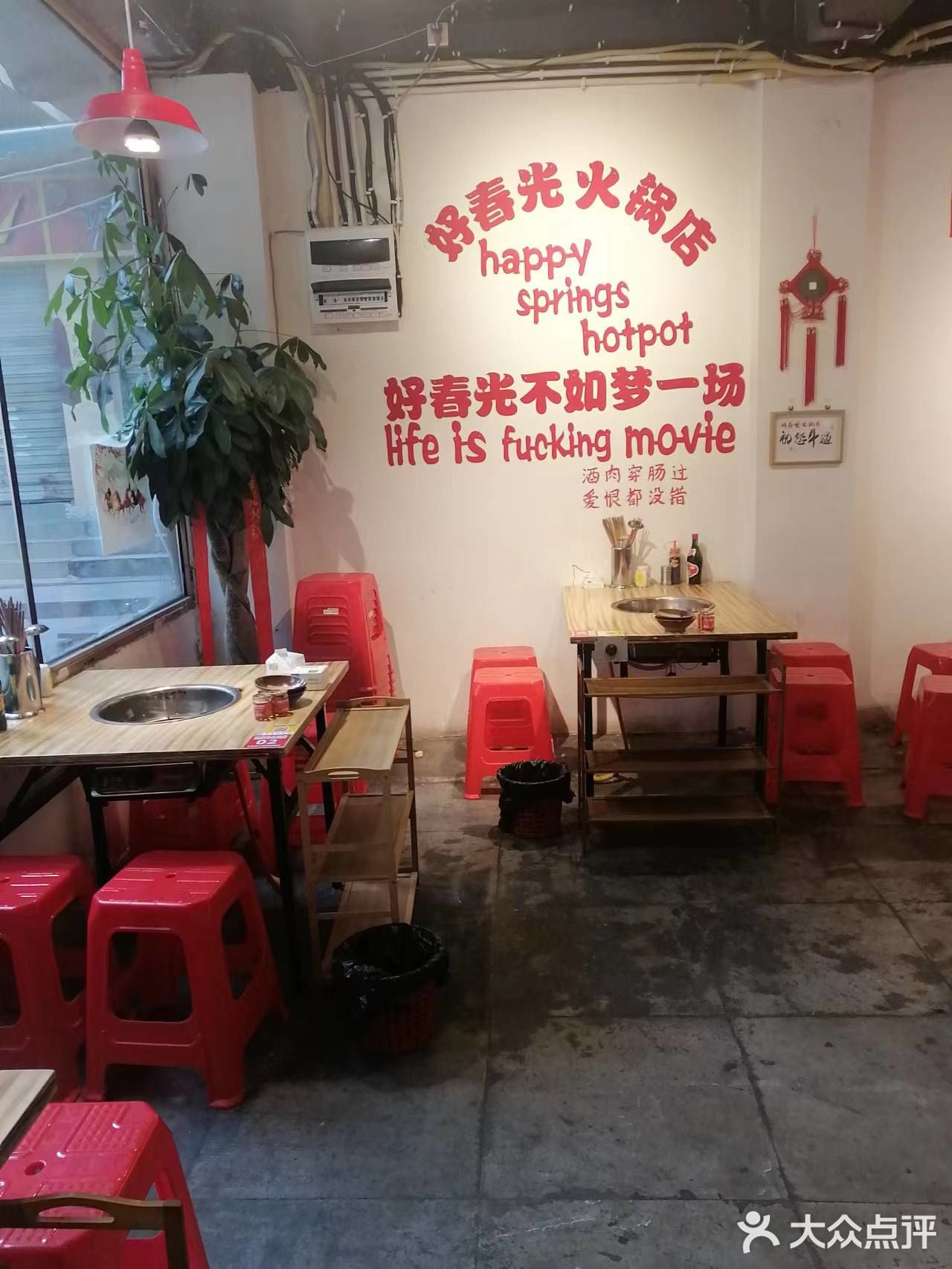 你们喜欢吃小鳗鱼吗？