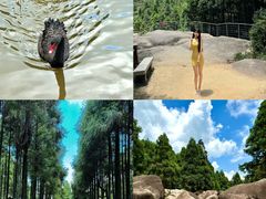 -玉苍山国家森林公园