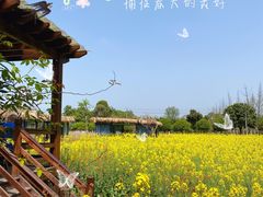 -洪湖家庭农场·团建·露营·会议