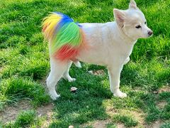 -Manner Coffee(徐汇滨江店)