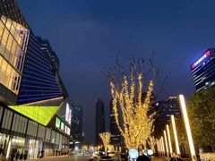 -合景·悠方(成都店)